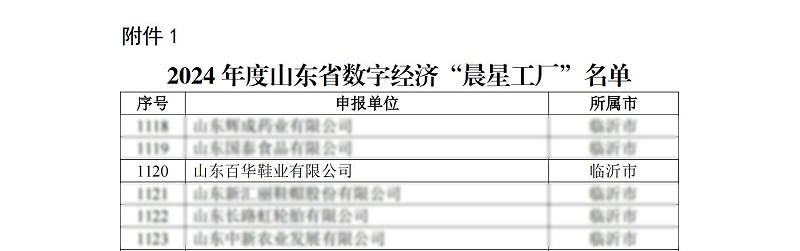 关于公布2024年度山东省数字经济“晨星工厂”名单的通知_02