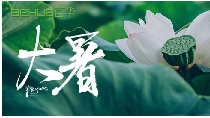 大暑|蝉声嘹亮，夏意正浓
