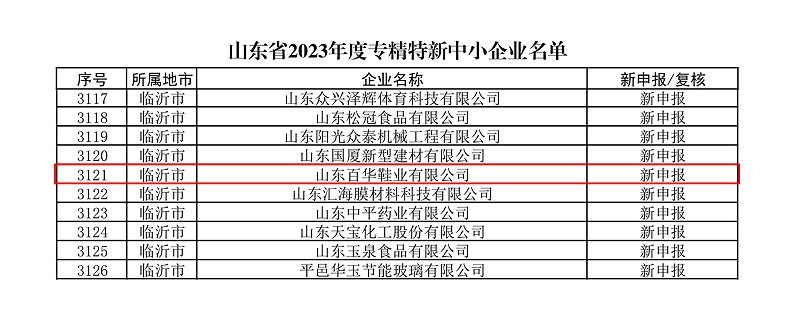 热烈祝贺百华鞋业通过山东省专精特新企业认定！
